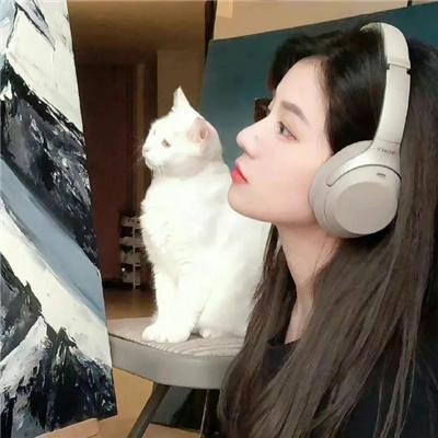 超人和露易丝第三季